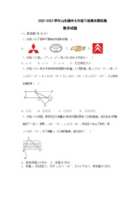 北师大版数学七年级下册 期末模拟题数学试题(无答案)