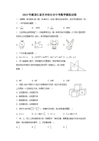 2023年黑龙江省齐齐哈尔市中考数学模拟试卷（含解析）