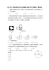 2023年广东省深圳市宝安区桃源中澳中学中考数学三模试卷(含解析 )