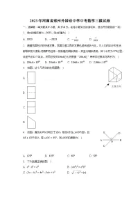 2023年河南省郑州外国语中学中考数学三模试卷（含答案）