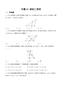 专题19 相似三角形（练透）-【讲通练透】中考数学一轮（全国通用）（学生版）