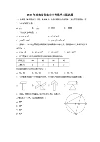 2023年湖南省娄底市中考数学三模试卷