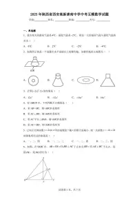 2023年陕西省西安高新唐南中学中考五模数学试题
