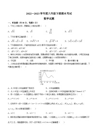 河南省信阳市2022-2023学年八年级下学期期末数学试题（含答案）