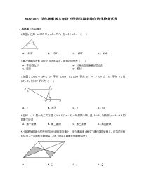 2022-2023学年湘教版八年级下册数学期末综合培优检测试题（含答案）