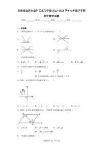 甘肃省金昌市金川区龙门学校2022-2023学年七年级下学期期中数学试题