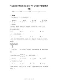 河北省唐山市滦南县2022-2023学年七年级下学期期中数学试题