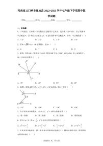 河南省三门峡市渑池县2022-2023学年七年级下学期期中数学试题