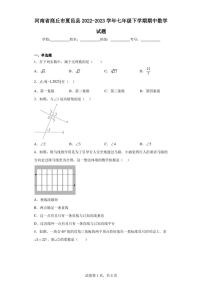 河南省商丘市夏邑县2022-2023学年七年级下学期期中数学试题