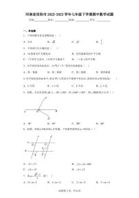 河南省信阳市2022-2023学年七年级下学期期中数学试题