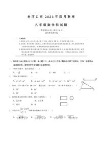 湖北省襄阳市老河口市2023年四月联考九年级数学试题
