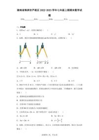 湖南省株洲市芦淞区2022-2023学年七年级上期期末数学试题