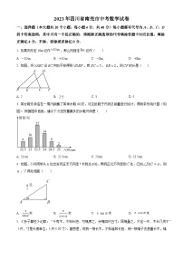 2023年四川省南充市中考数学真题（原卷版）