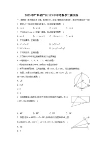 2023年广东省广州113中中考数学三模试卷（含解析）