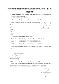 2022-2023学年福建省龙岩市北大附属实验学校八年级（下）期中数学试卷（含解析）