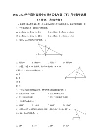 2022-2023学年四川省巴中市巴州区七年级（下）月考数学试卷（5月份）（华师大版）（含解析）