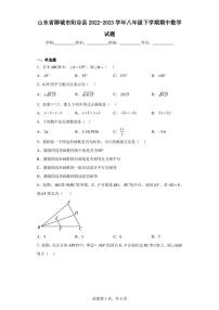 山东省聊城市阳谷县2022-2023学年八年级下学期期中数学试题