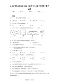 山东省青岛市城阳区2022-2023学年八年级下学期期中数学试题