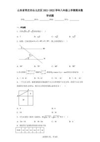 山东省枣庄市台儿庄区2021-2022学年八年级上学期期末数学试题