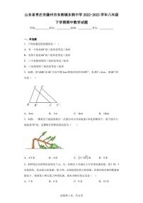 山东省枣庄市滕州市东郭镇东郭中学2022-2023学年八年级下学期期中数学试题