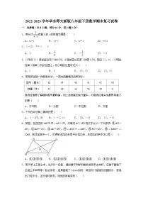 2022-2023学年华东师大版八年级下册数学期末复习试卷(含答案)
