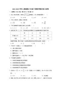 2022-2023学年人教版八年级下册数学期末复习试卷（含答案）