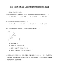 2022-2023学年青岛版七年级下册数学期末综合培优检测试题（含答案）