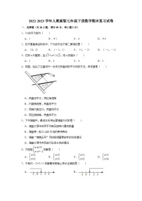 2022-2023学年人教版七年级下册数学期末复习试卷（含答案）