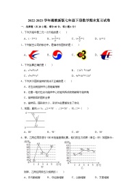 2022-2023学年湘教版七年级下册数学期末复习试卷（有答案）