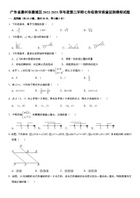 广东省惠州市惠城区2022-2023学年七年级下学期+教学质量监测期末数学模拟试题（含答案）