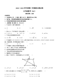 河南省濮阳市清丰县仙庄镇初级中学2022-2023学年七年级下学期期末数学试题（含答案）