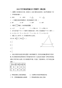 2023年甘肃省武威市中考数学一模试卷(含解析)