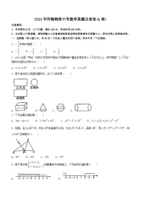 2023年河南鹤壁中考数学真题（Word版附答案）(A卷)