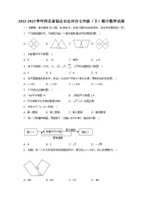 2022-2023学年河北省保定市定州市七年级(下)期中数学试卷(含解析)