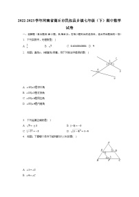 2022-2023学年河南省商丘市民权县乡镇七年级（下）期中数学试卷(含解析）