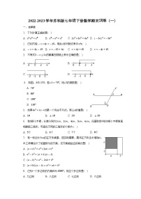 2022-2023学年苏科版七年级下册数学期末训练（一）