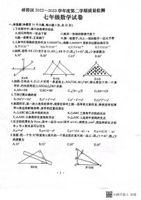 +河南省开封市祥符区2022-2023学年七年级下学期期末质量检测数学试题