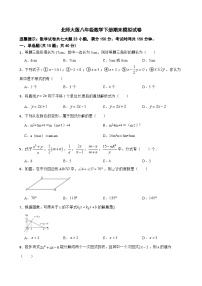 2022--2023学年北师大版八年级数学下册期末模拟试卷（含答案）