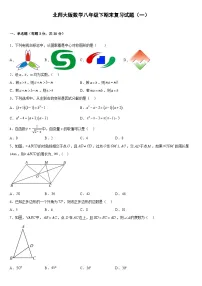 2022--2023学年北师大版数学八年级下期末复习试卷(含答案)