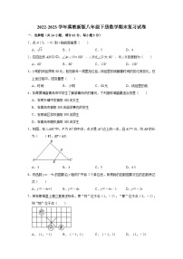 2022-2023学年冀教版数学八年级下册期末复习试卷（含答案）