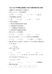 2022-2023学年鲁教版（五四制）八年级下册数学期末复习试卷（含答案）