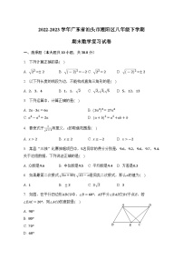 广东省汕头市潮阳区2022-2023学年八年级下学期期末数学复习试卷（含答案）