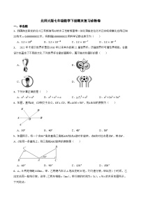 2022--2023学年北师大版七年级数学下册期末复习诊断卷（含答案）