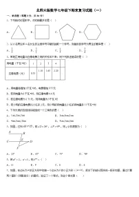 2022--2023学年北师大版数学七年级下册期末复习试卷1（含答案）