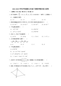 2022-2023学年沪科版七年级下册数学期末复习试卷（含答案）