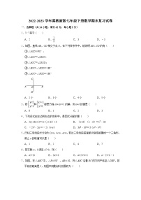 2022-2023学年冀教版七年级下册数学期末复习试卷（含答案）