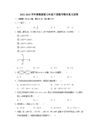 2022-2023学年冀教版七年级下册数学期末复习试卷(含答案)