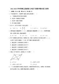 2022-2023学年鲁教版（五四制）七年级下册数学期末复习试卷（含答案）