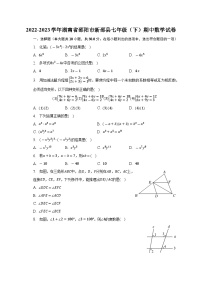 湖南省邵阳市新邵县2022-2023学年七年级下学期期中数学试卷+