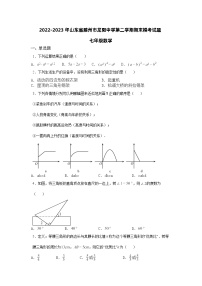 山东省滕州市龙阳中学2022-2023学年下学期期末七年级数学模拟试题